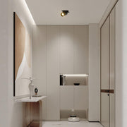 Mantra Sal Spotlight-DWHOME