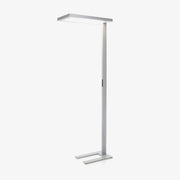 Matthis LED Floor Lamp-DWHOME