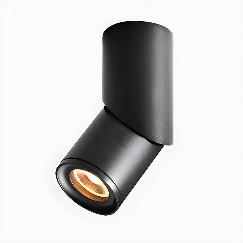 Maxwell Pivot Surface Downlight-DWHOME