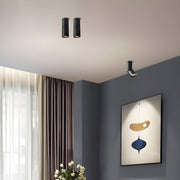 Maxwell Pivot Surface Downlight-DWHOME