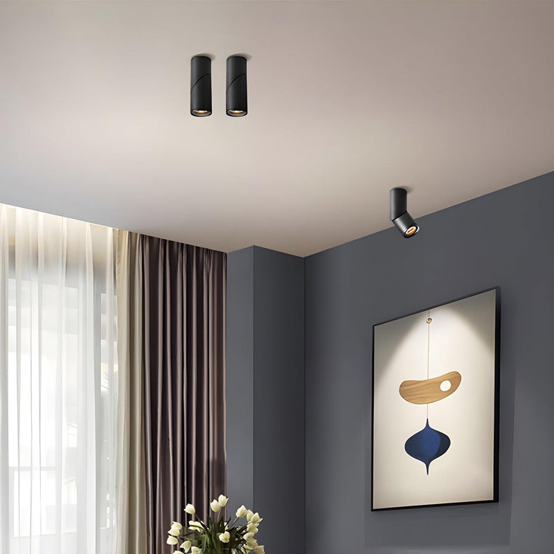 Maxwell Pivot Surface Downlight-DWHOME