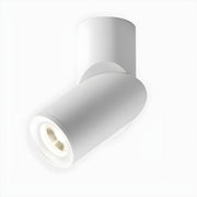 Maxwell Pivot Surface Downlight-DWHOME