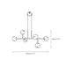 Maytoni Uva Chandelier-DWHOME