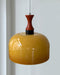 Meblos Down Pendant Light.