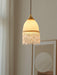 Mesh Tassel Glass Pendant Light.