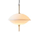 Miller Shell Pendant Light - DWHOME