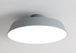 Yarulin Modern Minimalist Adjustable Ceiling Lamp.