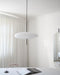 Model 2065 Pendant Lamp - Vakkerlight