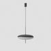 Model 2065 Pendant Lamp-DWHOME