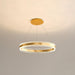 Modern Circle LED Chandelier - Vakkerlight