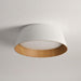 Modern Ribbed Ceiling Light-DWHOME