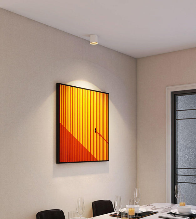 Modupoint Ceiling Light.