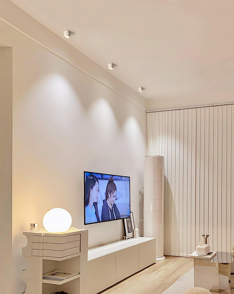 Modupoint Ceiling Light-DWHOME
