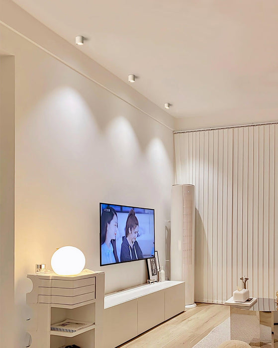 Modupoint Ceiling Light-DWHOME