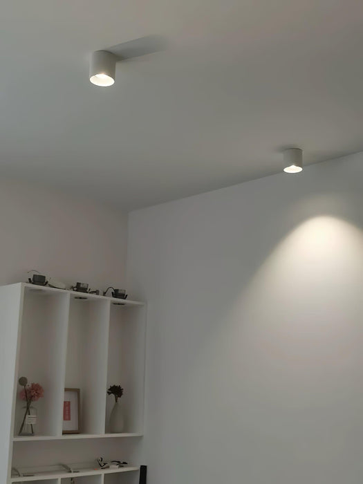 Modupoint Ceiling Light.