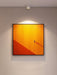 Modupoint Ceiling Light-DWHOME