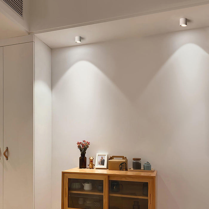 Modupoint Ceiling Light.