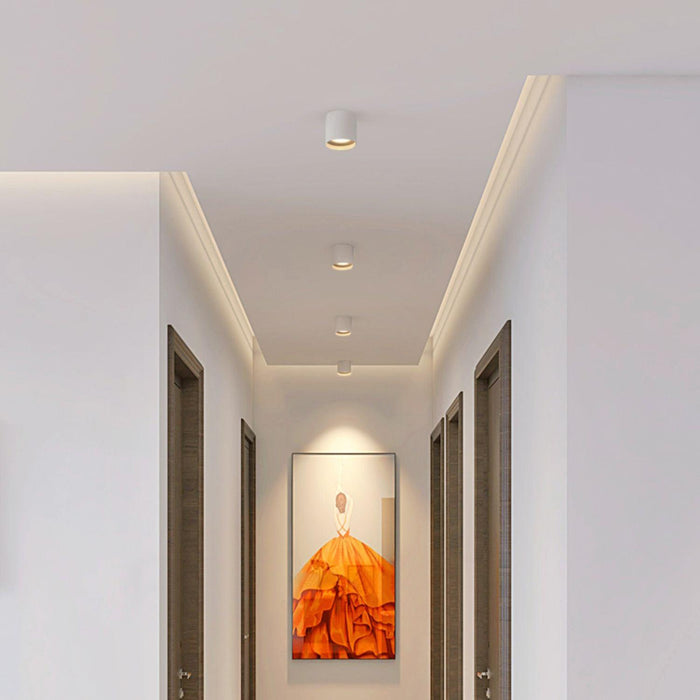 Modupoint Ceiling Light.