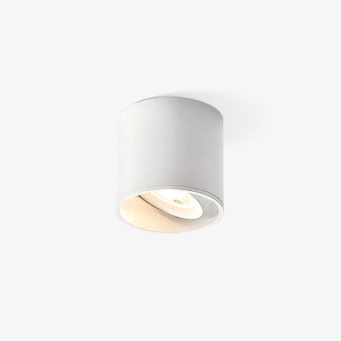 Modupoint Ceiling Light