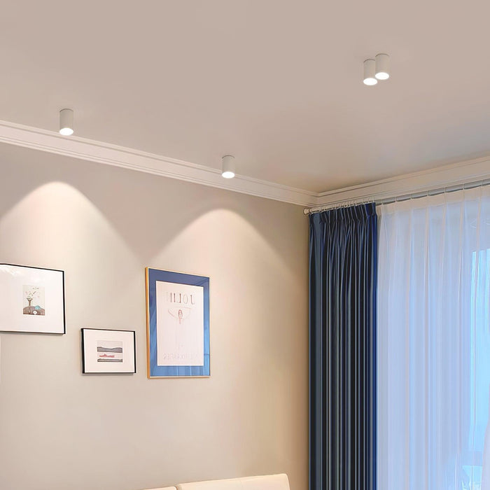 Modupoint Ceiling Light-DWHOME
