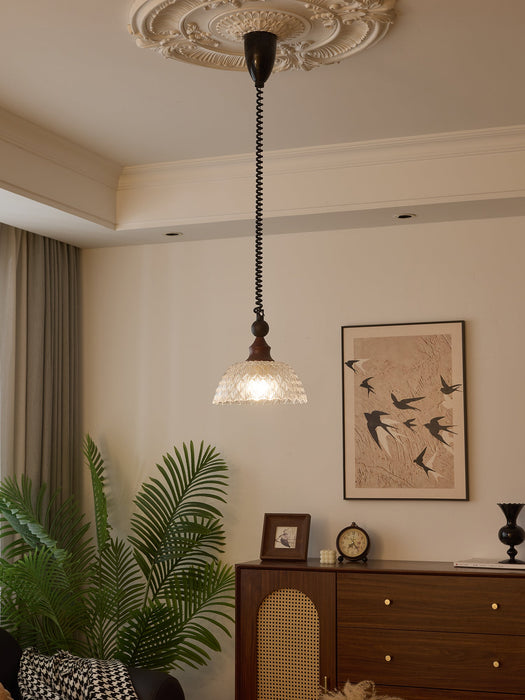 Monet Pendant Lamp-DWHOME