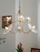 Monique Lhuillier Chandelier - DWHOME