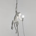 Monkey Pendant Lamp.