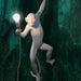 Monkey Wall Lamp - DWHOME