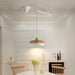 Morandi Layered Pendant Lamp-DWHOME