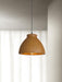 Morphe Pendant Light.