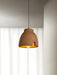 Morphe Pendant Light.