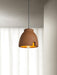 Morphe Pendant Light-DWHOME