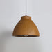 Morphe Pendant Light.