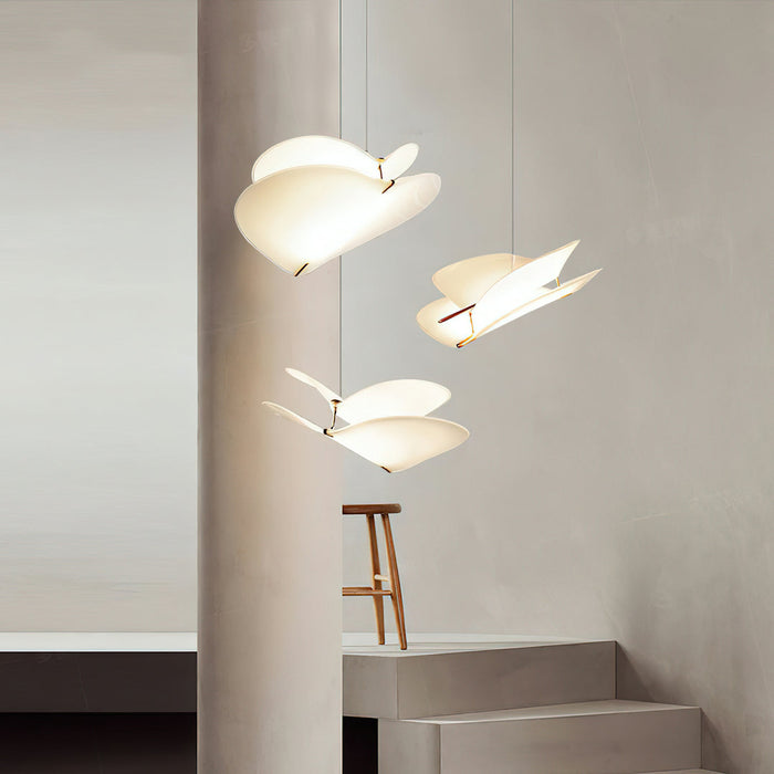 Moth Pendant Lamp.