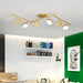 Track Light Ceiling Light-DWHOME