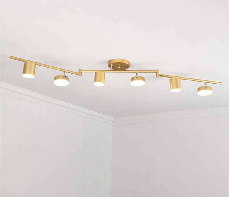 Track Light Ceiling Light-DWHOME