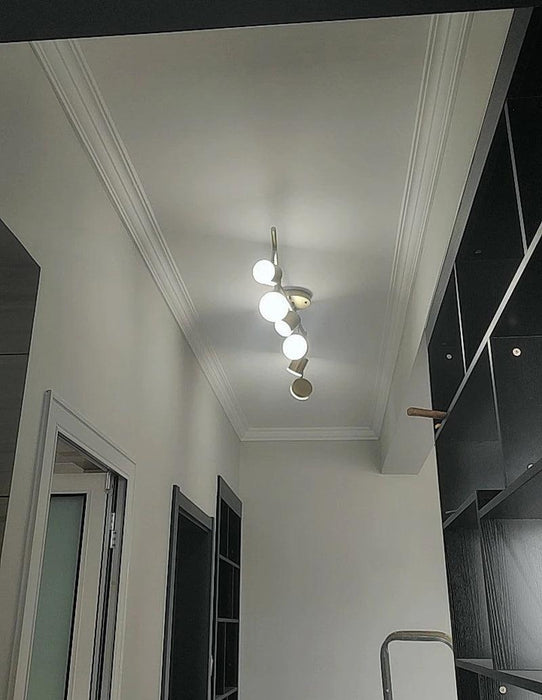 Track Light Ceiling Light-DWHOME