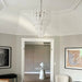 Vintage Transparent Murano Glass Petals Drop Chandelier-DWHOME