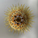 Murano Palmette Amber Chandelier-DWHOME