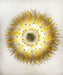 Murano Palmette Amber Trasparent Chandelier-DWHOME