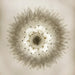 Murano Palmette Transparent Chandelier-DWHOME