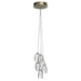Mussels Cluster Chandelier - Vakkerlight