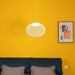 NR2 Pendant Light - Vakkerlight