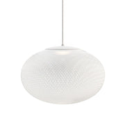 Metallic Meshwork Pendant Lamp-DWHOME