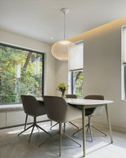 Metallic Meshwork Pendant Lamp-DWHOME