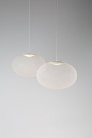 Metallic Meshwork Pendant Lamp-DWHOME