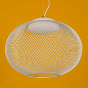 Metallic Meshwork Pendant Lamp-DWHOME