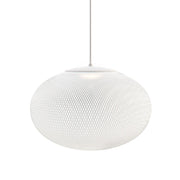 Metallic Meshwork Pendant Lamp-DWHOME