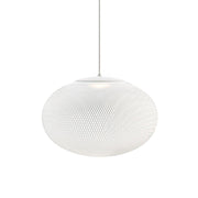 Metallic Meshwork Pendant Lamp-DWHOME