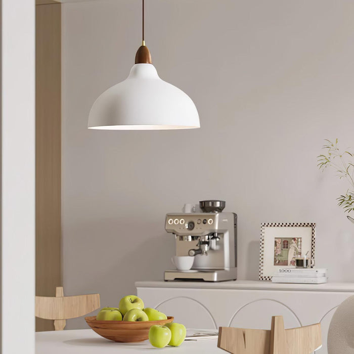 Natural Rustic Pendant Lamp-DWHOME